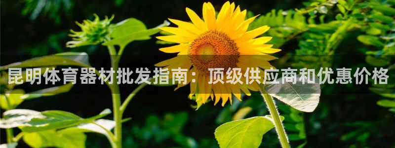 极悦平台登录方式：昆明体育器材批发指南：顶级供应商和