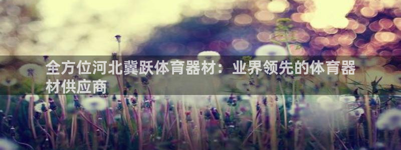 极悦平台代理怎么样：全方位河北冀跃体育器材：业界领先