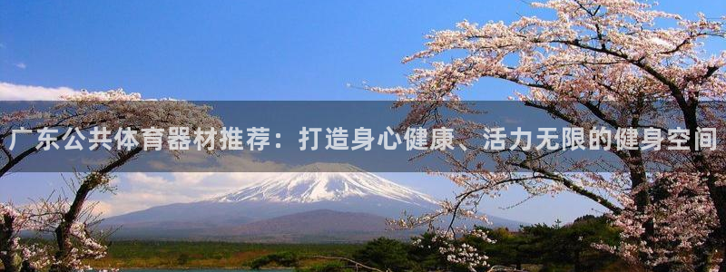 极悦平台注册流程详解：广东公共体育器材推荐：打造身心