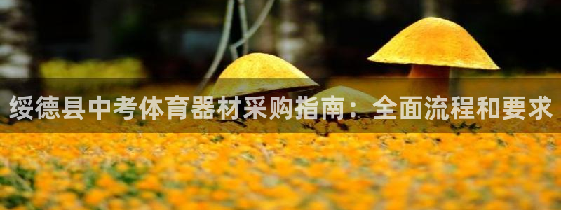 极悦官网的登录方法有哪些：绥德县中考体育器材采购指南