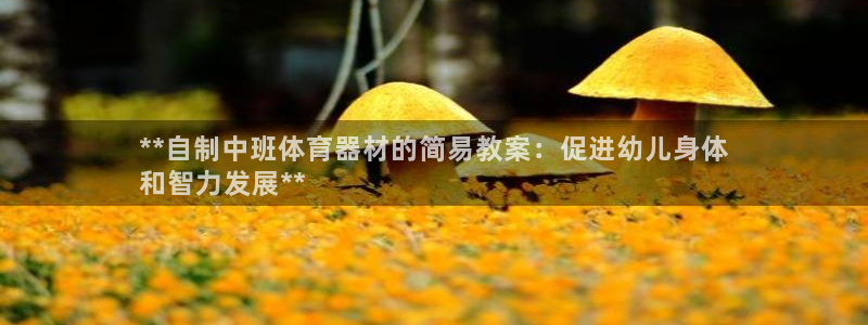 极悦娱乐成7O777：**自制中班体育器材的简易教案