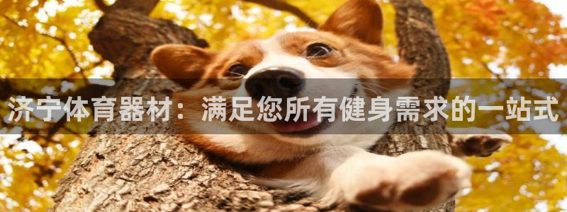 极悦官方网站app下载：济宁体育器材：满足您所有健身