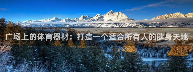 极悦平台有风险吗现在：广场上的体育器材：打造一个适合