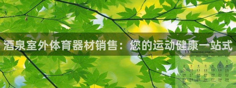 极悦娱乐登录拒绝访问怎么办：酒泉室外体育器材销售：您