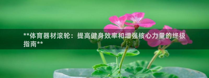 极悦娱乐最新版本更新内容介绍：**体育器材滚轮：提高