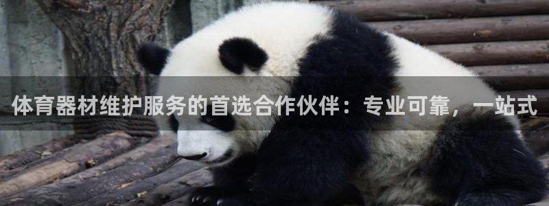 极悦娱乐官网app下载安装：体育器材维护服务的首选合