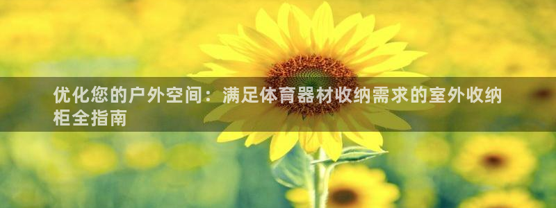 极悦平台代理电话：优化您的户外空间：满足体育器材收纳