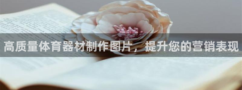 极悦平台用户评价：高质量体育器材制作图片，提升您的营