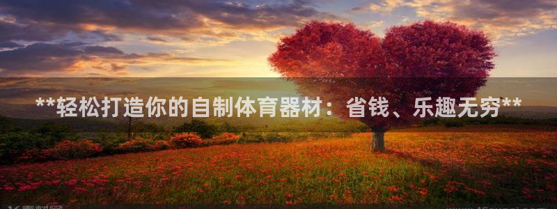 极悦平台注册官网：**轻松打造你的自制体育器材：省钱