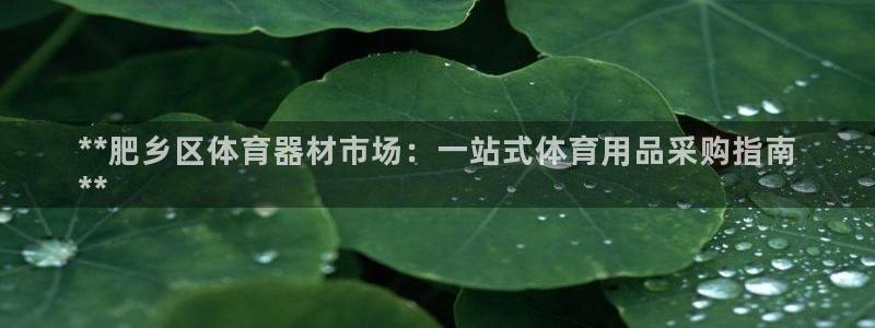 极悦娱乐旗下艺人名单：**肥乡区体育器材市场：一站式