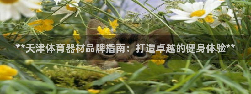 极悦平台注册用户名格式是什么：**天津体育器材品牌指