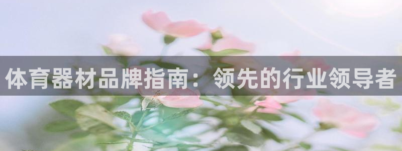 极悦娱乐游戏安全吗：体育器材品牌指南：领先的行业领导