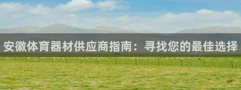 极悦平台注册和登录页面在哪：安徽体育器材供应商指南：