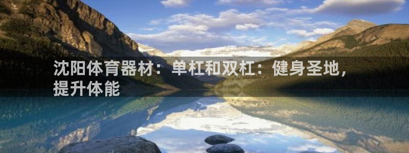 极悦平台官网下载中心网址：沈阳体育器材：单杠和双杠：