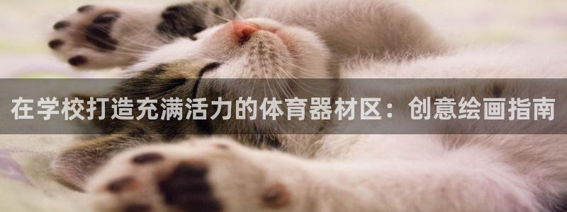 极悦官网首页登录入口下载：在学校打造充满活力的体育器