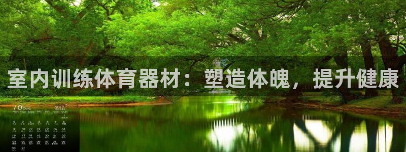 极悦平台代理怎么做赚钱：室内训练体育器材：塑造体魄，