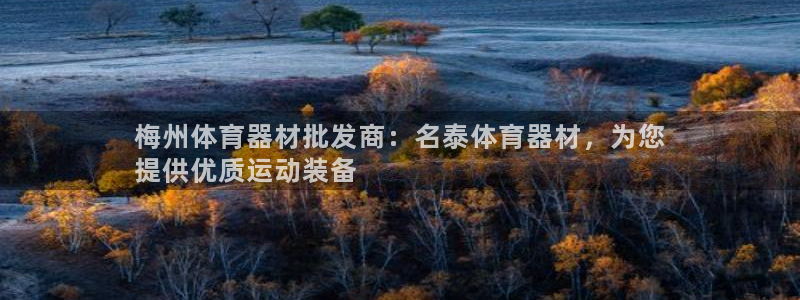 极悦平台官网登录：梅州体育器材批发商：名泰体育器材，