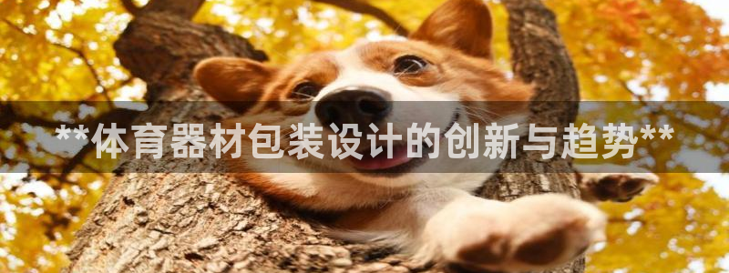 极悦平台官网登录不了怎么回事：**体育器材包装设计的