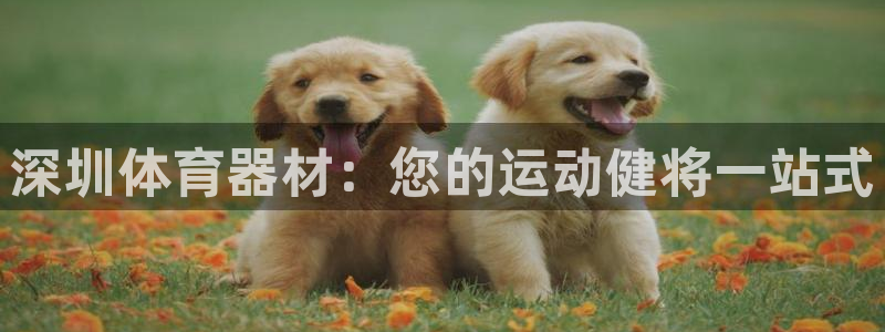 极悦平台官方网站登录网址：深圳体育器材：您的运动健将