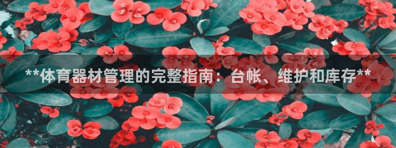 加盟极悦教育要多少钱：**体育器材管理的完整指南：台