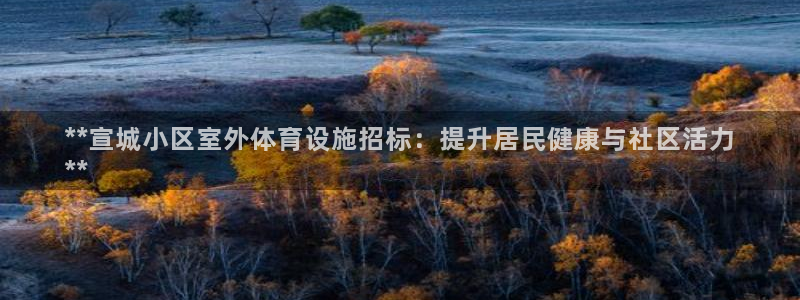 极悦娱乐的创始人背景故事介绍：**宣城小区室外体育设