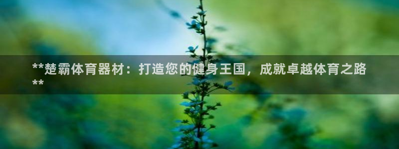 极悦平台代理：**楚霸体育器材：打造您的健身王国，成