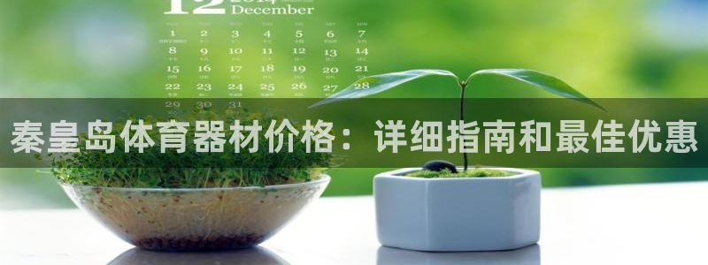 极悦平台代理：秦皇岛体育器材价格：详细指南和最佳优惠