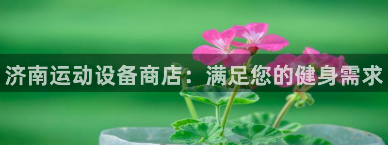 极悦平台注册流程视频：济南运动设备商店：满足您的健身