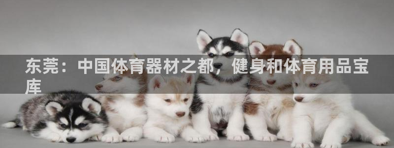 极悦娱乐官网下载安装：东莞：中国体育器材之都，健身和
