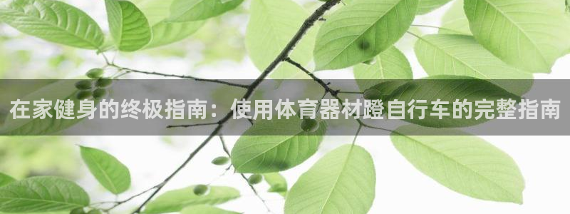 极悦平台注册和登录页面一样吗：在家健身的终极指南：使
