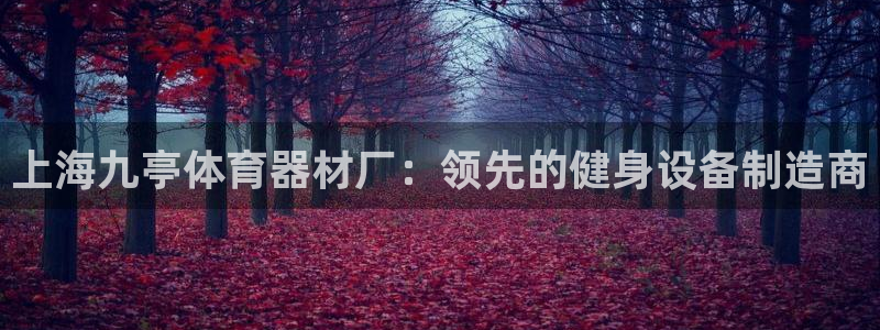 极悦注册：上海九亭体育器材厂：领先的健身设备制造商