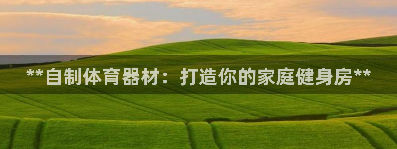 极悦平台是干什么的啊：**自制体育器材：打造你的家庭