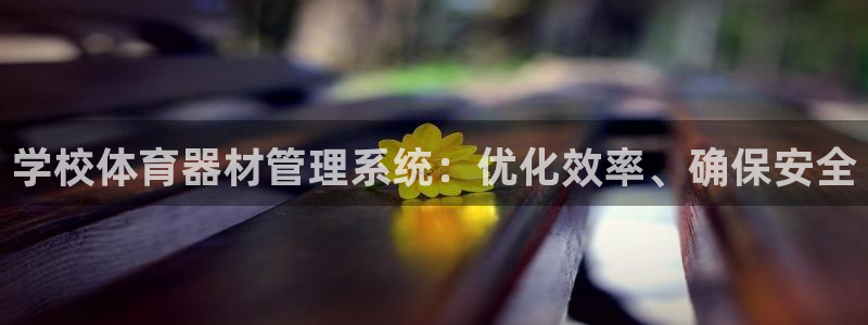 极悦平台注册失败如何解决呢：学校体育器材管理系统：优