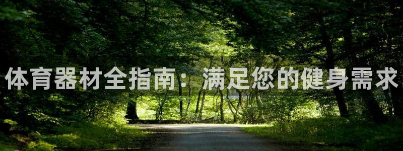 极悦平台代理怎么赚钱的：体育器材全指南：满足您的健身