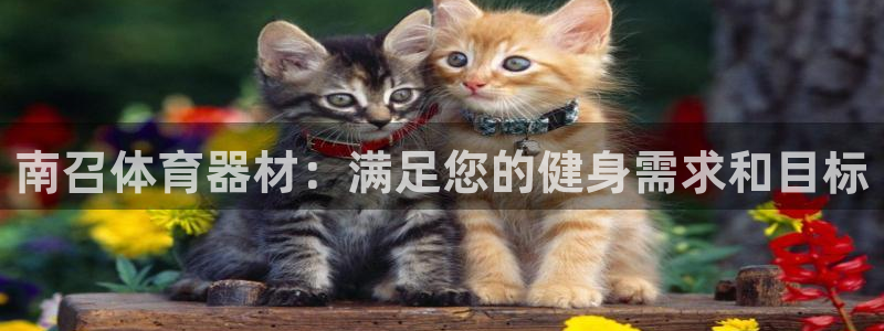 极悦平台app安全吗：南召体育器材：满足您的健身需求