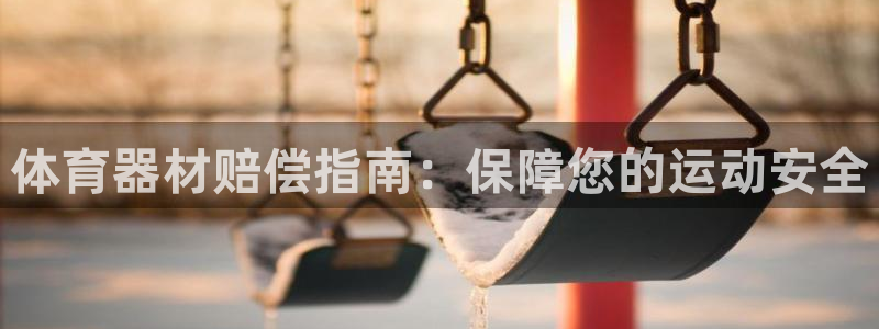 极悦平台注册和登录页面不一样：体育器材赔偿指南：保障