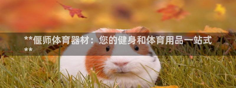 极悦娱乐官网下载：**偃师体育器材：您的健身和体育用