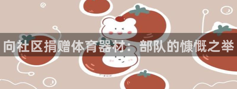 极悦娱乐的内部员工福利：向社区捐赠体育器材：部队的慷