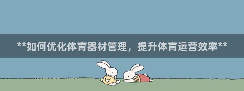 极悦娱乐下载官网：**如何优化体育器材管理，提升体育