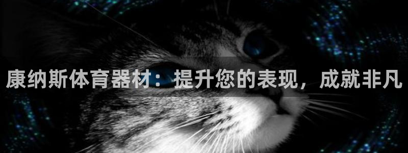 极悦娱乐的背景和历史背景分析：康纳斯体育器材：提升您