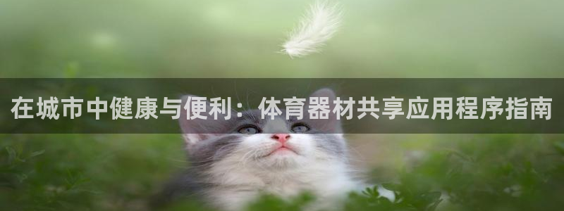 极悦娱乐官网下载安装：在城市中健康与便利：体育器材共