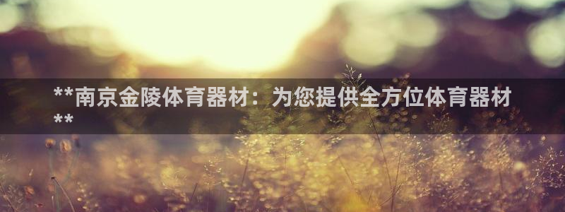 极悦娱乐代理多少钱：**南京金陵体育器材：为您提供全