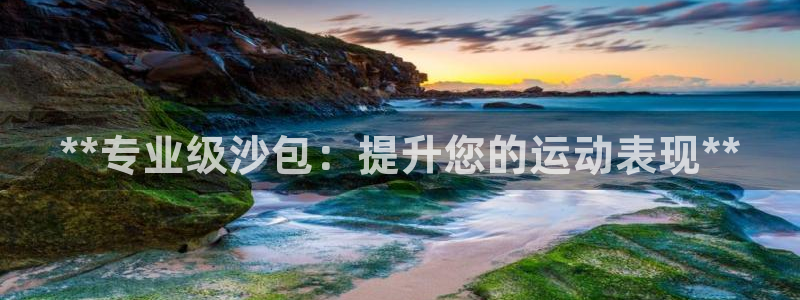 极悦平台是干什么的啊：**专业级沙包：提升您的运动表