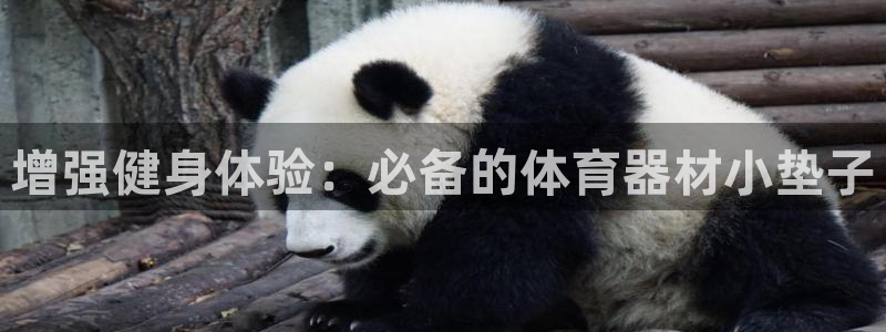 极悦平台官方网站下载安卓：增强健身体验：必备的体育器