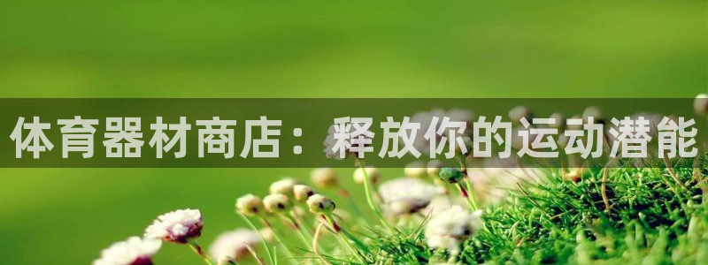 极悦娱乐股东名单：体育器材商店：释放你的运动潜能