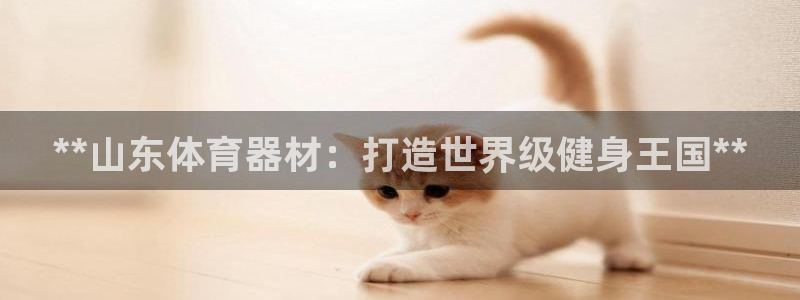 极悦平台官方网址是什么：**山东体育器材：打造世界级