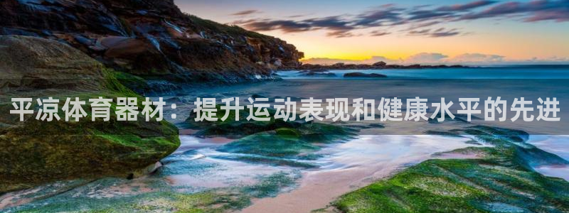 极悦平台注册用户名生成器：平凉体育器材：提升运动表现