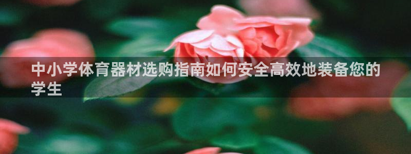 极悦平台是干嘛的软件：中小学体育器材选购指南如何安全