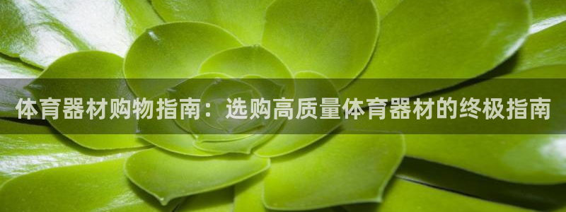 极悦平台登录不进去怎么回事呀：体育器材购物指南：选购