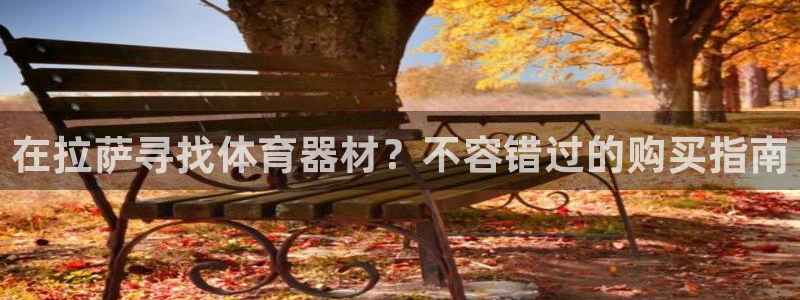 极悦平台的注册流程及注意事项是什么：在拉萨寻找体育器
